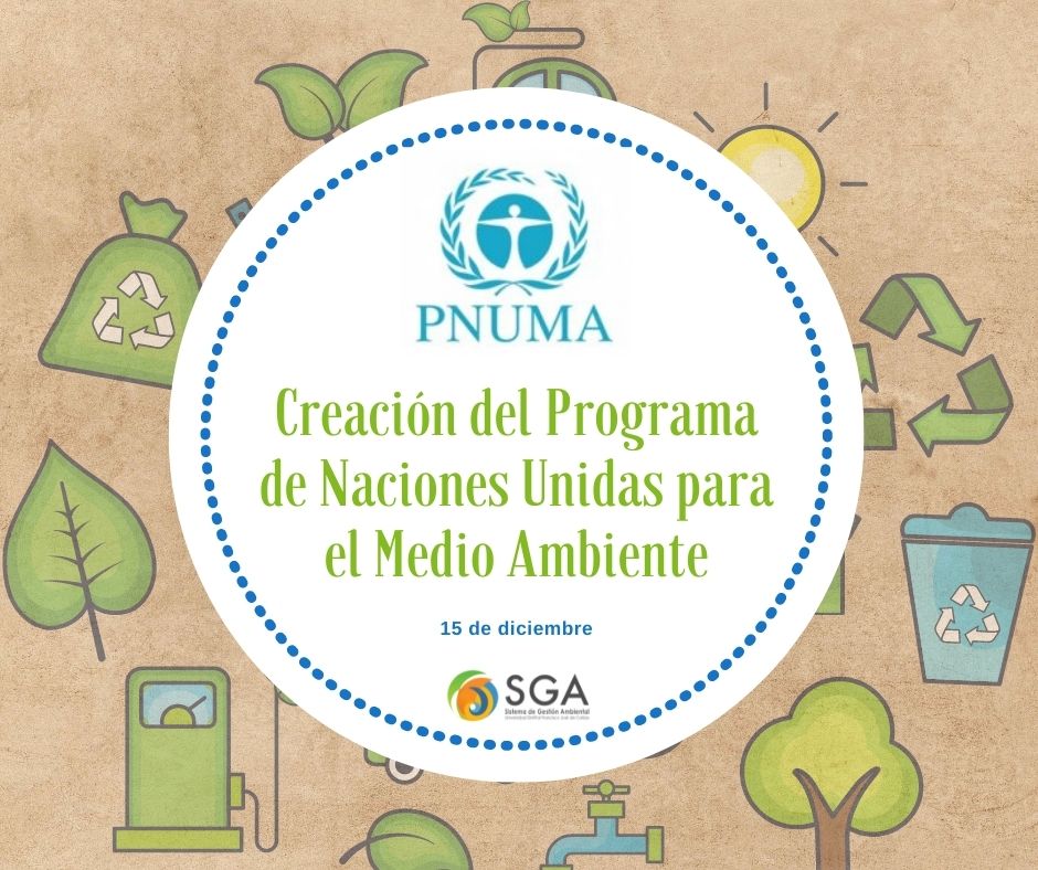 de diciembre Creación del Programa de Naciones Unidas para el Medio Ambiente Sistema de